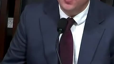 Curtis Schube Exposes the Blame Game: Dems, NGOs, and Censorship Uncovered!