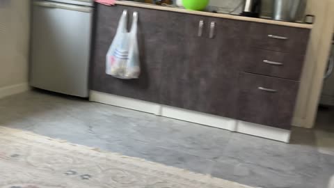 Tossed Diaper Effortlessly Lands In Trash