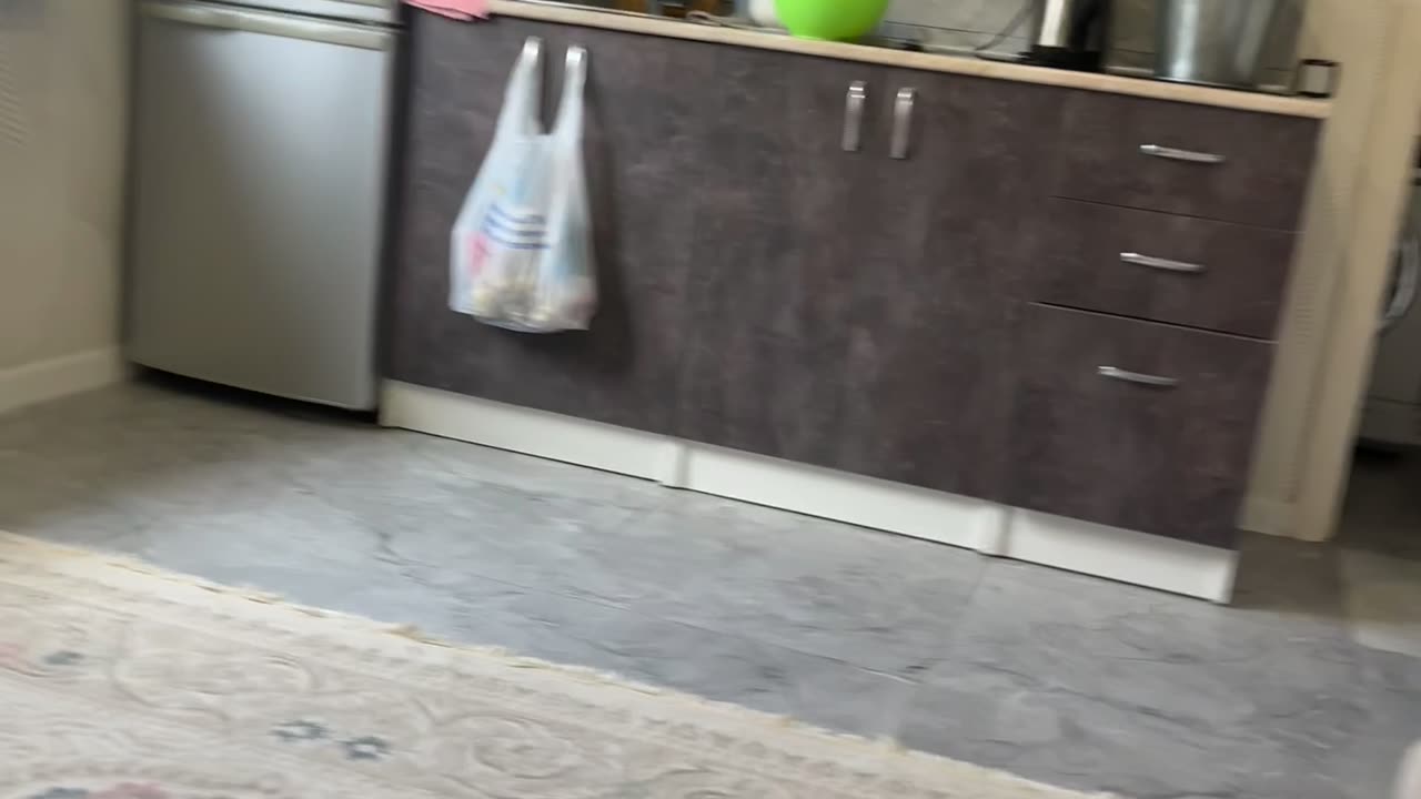 Tossed Diaper Effortlessly Lands In Trash