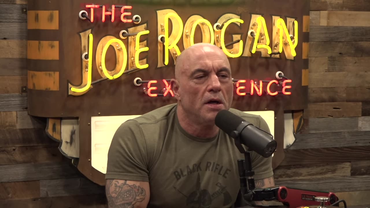 Joe Rogan Experience #2308 - Jordan Peterson