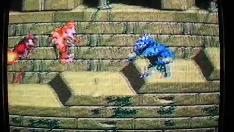 Bill Plays! WATCHED! VERY OLD DONKEY KONG COUNTRY COMPILATION [ PART 3 ]