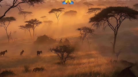 🙏✨ Oración Inspirada en las Lecturas de Hoy ✨🙏