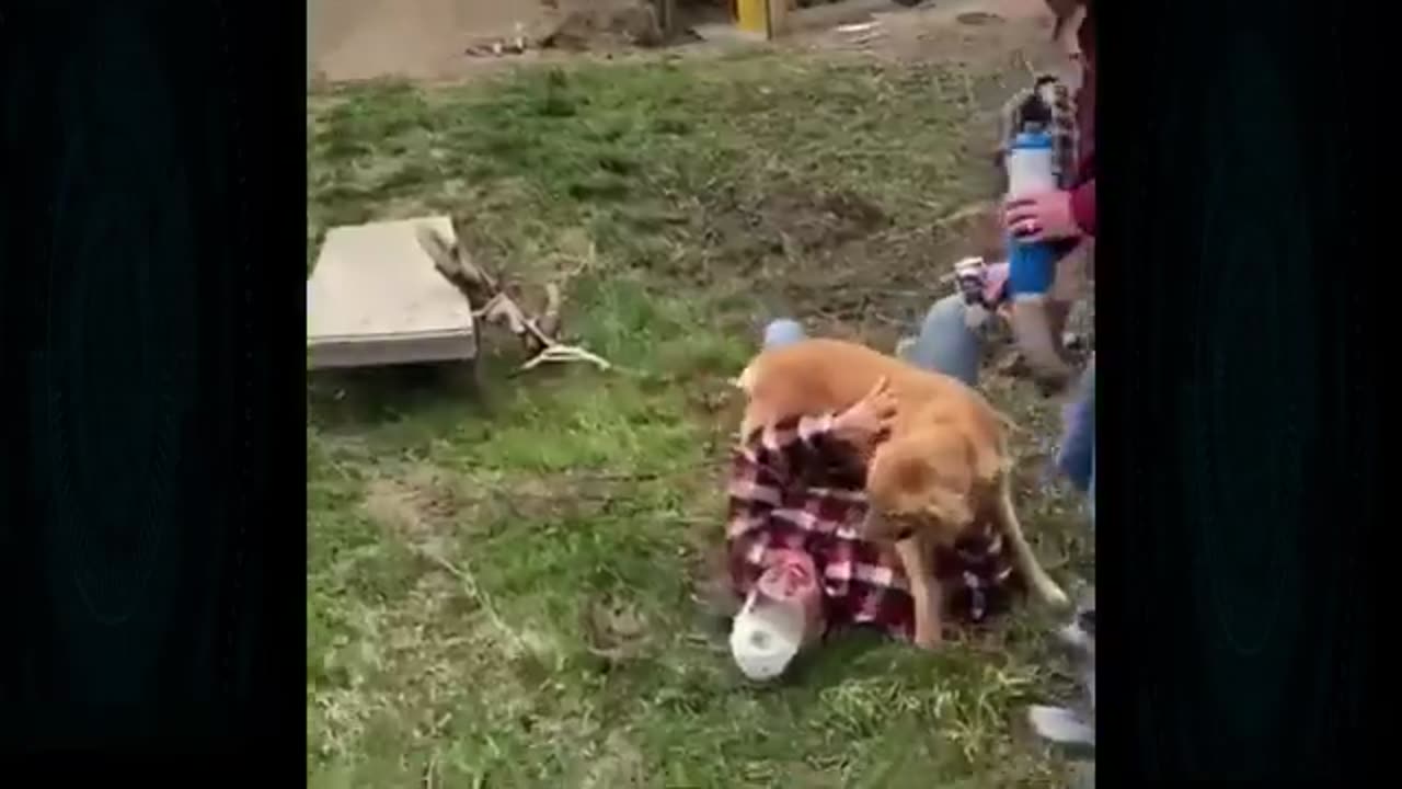 Epic Fail 9!!