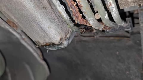 Connies 1996 Honda Civic Rusty Rear Brake Lines