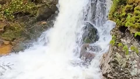 Cascade
