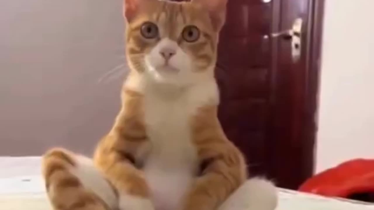 Which sit position is your favorite guys??? Lol