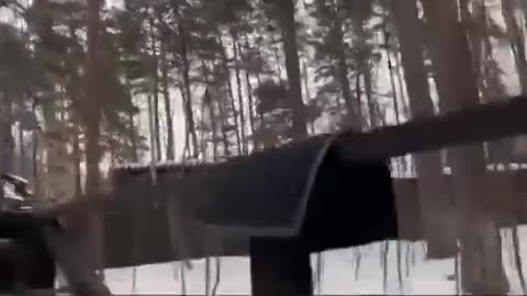 If you're having a bad day, watch this (sound on)