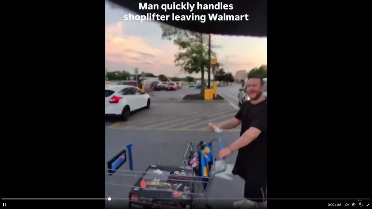 Now this is how you handle a thief, unless you are in commiefornia...