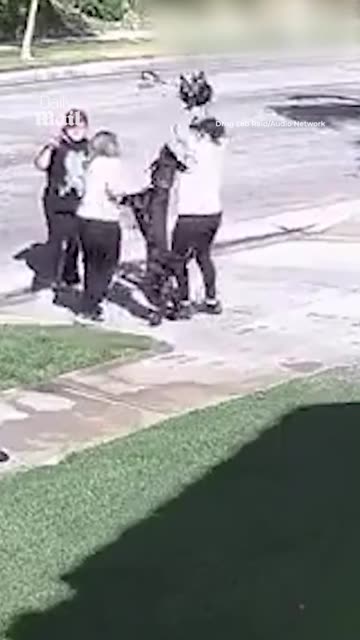 Woman loses total control of her dog 😳