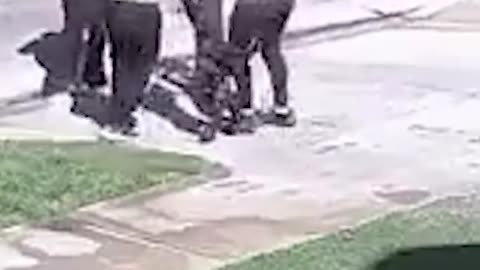 Woman loses total control of her dog 😳