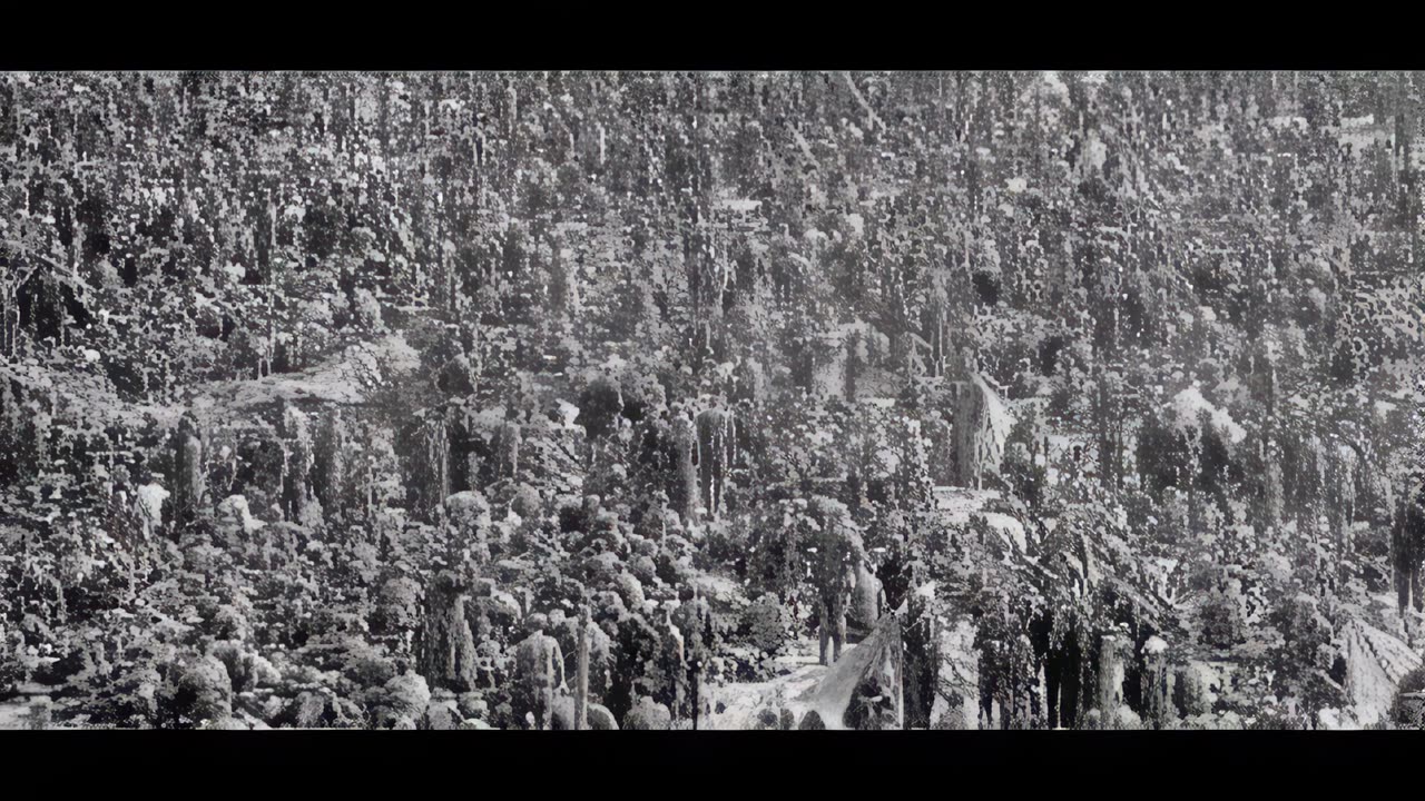 🇺🇸 Post-WW2 American Death Camp