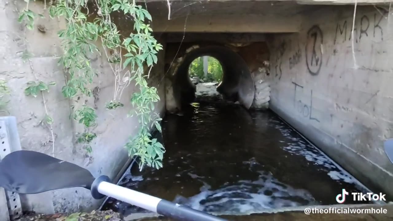 The Damn Dam