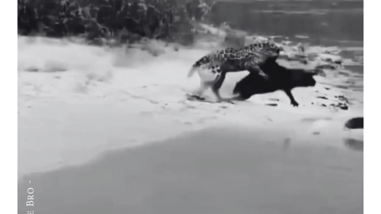 Never Give Up...