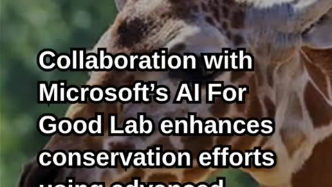 AI Powers Giraffe Conservation and Protection