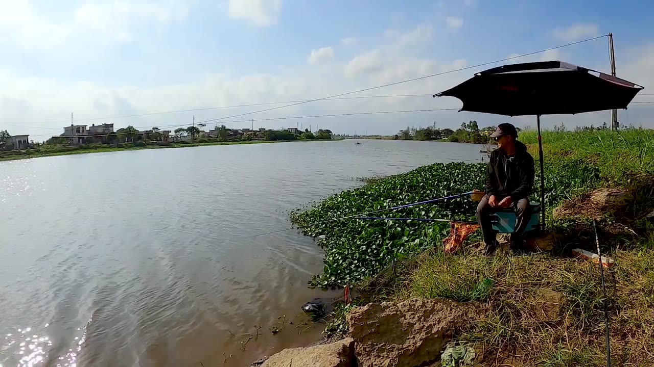 Roach Worm Fishing in River Calm Spots