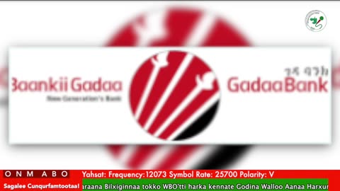 Oduu Galgala ONM-ABO Waxaabajjii 22-2025 itti dhiyaadhaa!