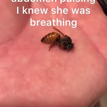 Some people are too good for this world.