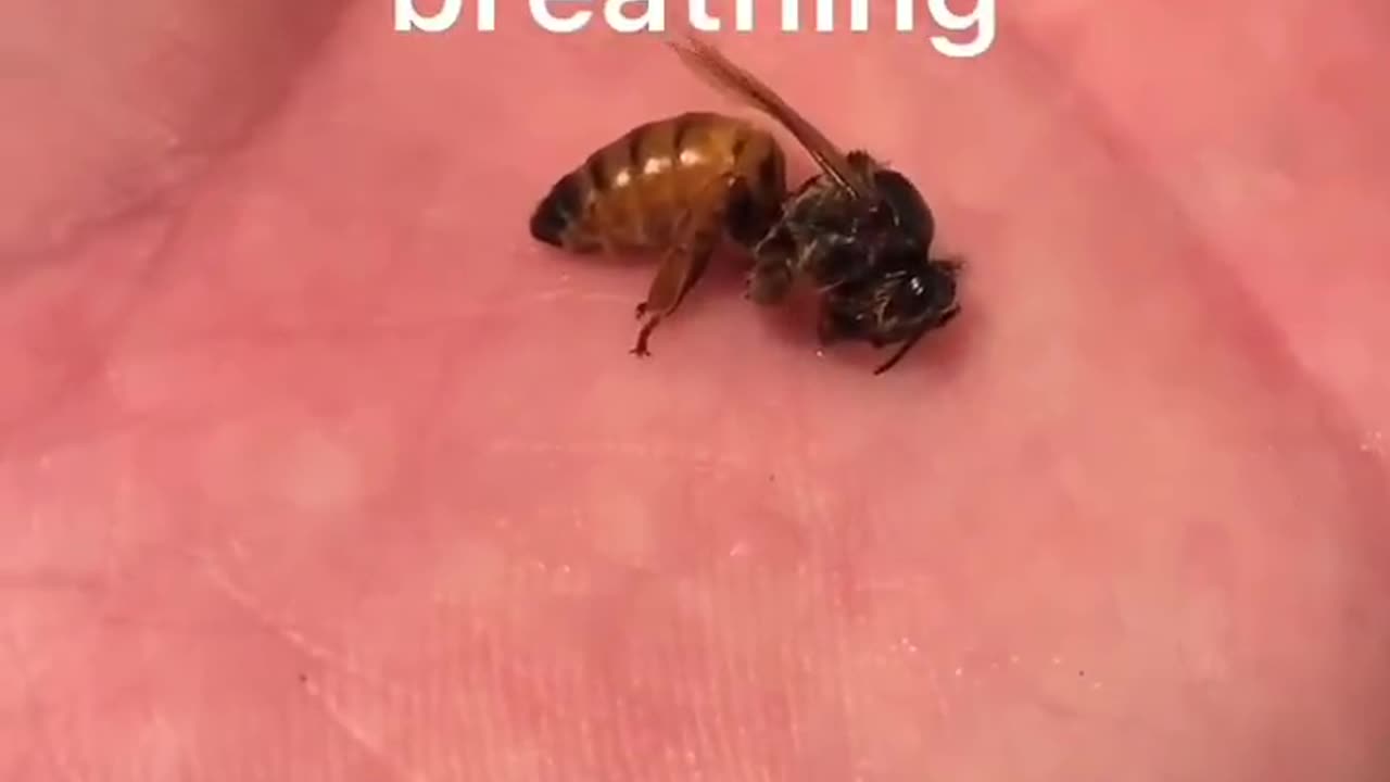 Some people are too good for this world.