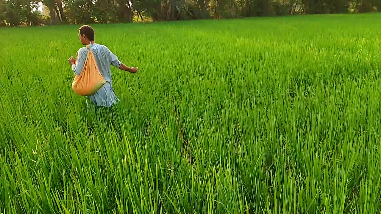 Farmer and his croups