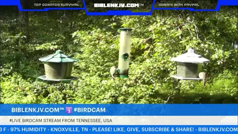 BIBLENKJV.COM™ 🛐 09/04/2025 #LIVE #WEATHER #KNOXVILLE