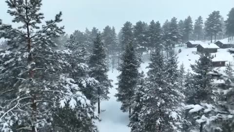 Surviving a Massive Snowstorm in the Wilderness