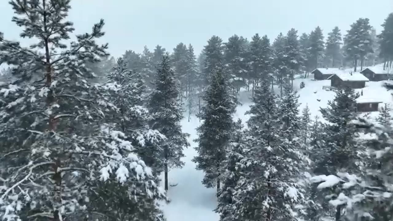 Surviving a Massive Snowstorm in the Wilderness