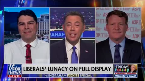 Mike Davis to Fox News: Democrats Are Losing Their Minds 
