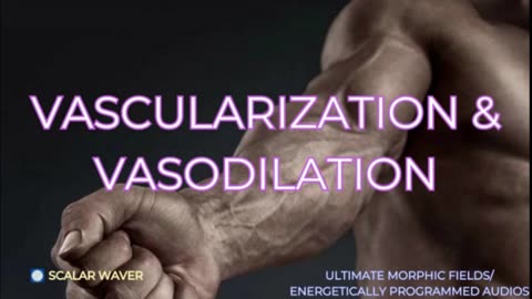 Vascularization & Vasodilation +33X