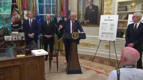 Trump definisce i documenti su Epstein una totale stronzata.