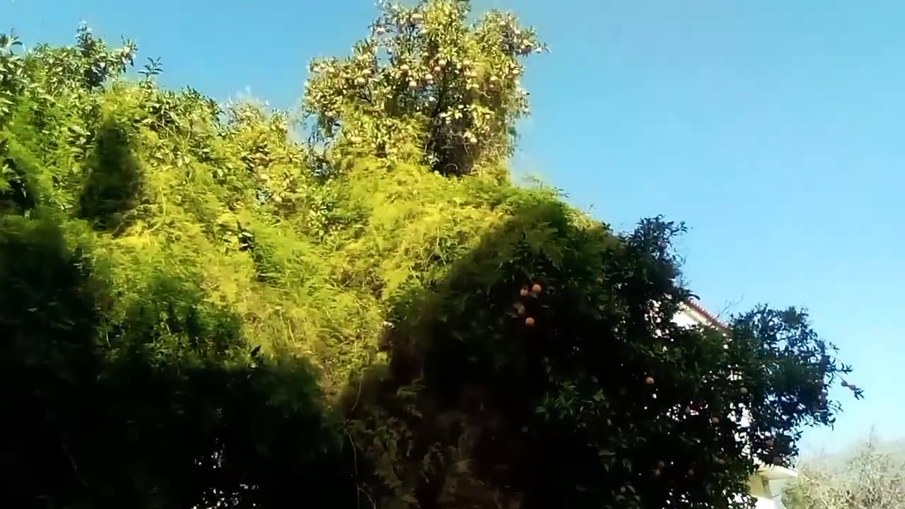 ΑΠΊΣΤΕΥΤΗ ΕΙΚΌΝΑ