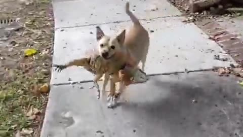 😂🤣 They Found Themselves Best Friends! | FunFM