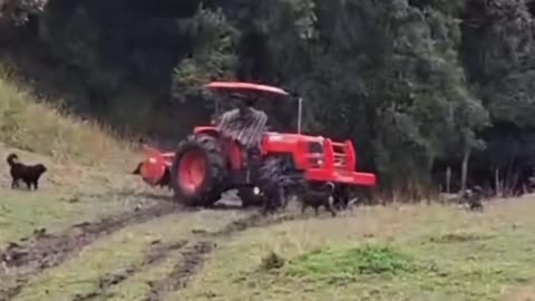 😂🌾 The Ultimate Guide to Farming! | FunFM