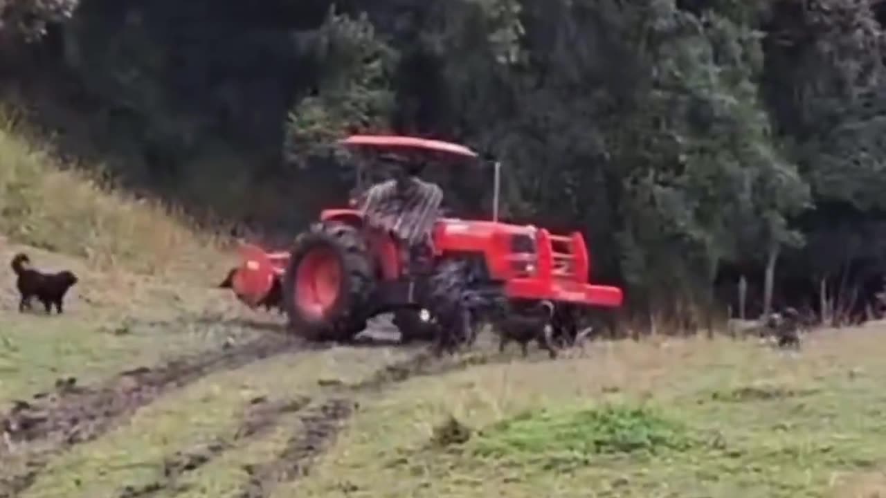 😂🌾 The Ultimate Guide to Farming! | FunFM