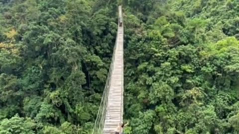 Mt. Daraitan, Tanay Rizal Beginner-Friendly Hike & Tinipak River Adventure #aholidaytour