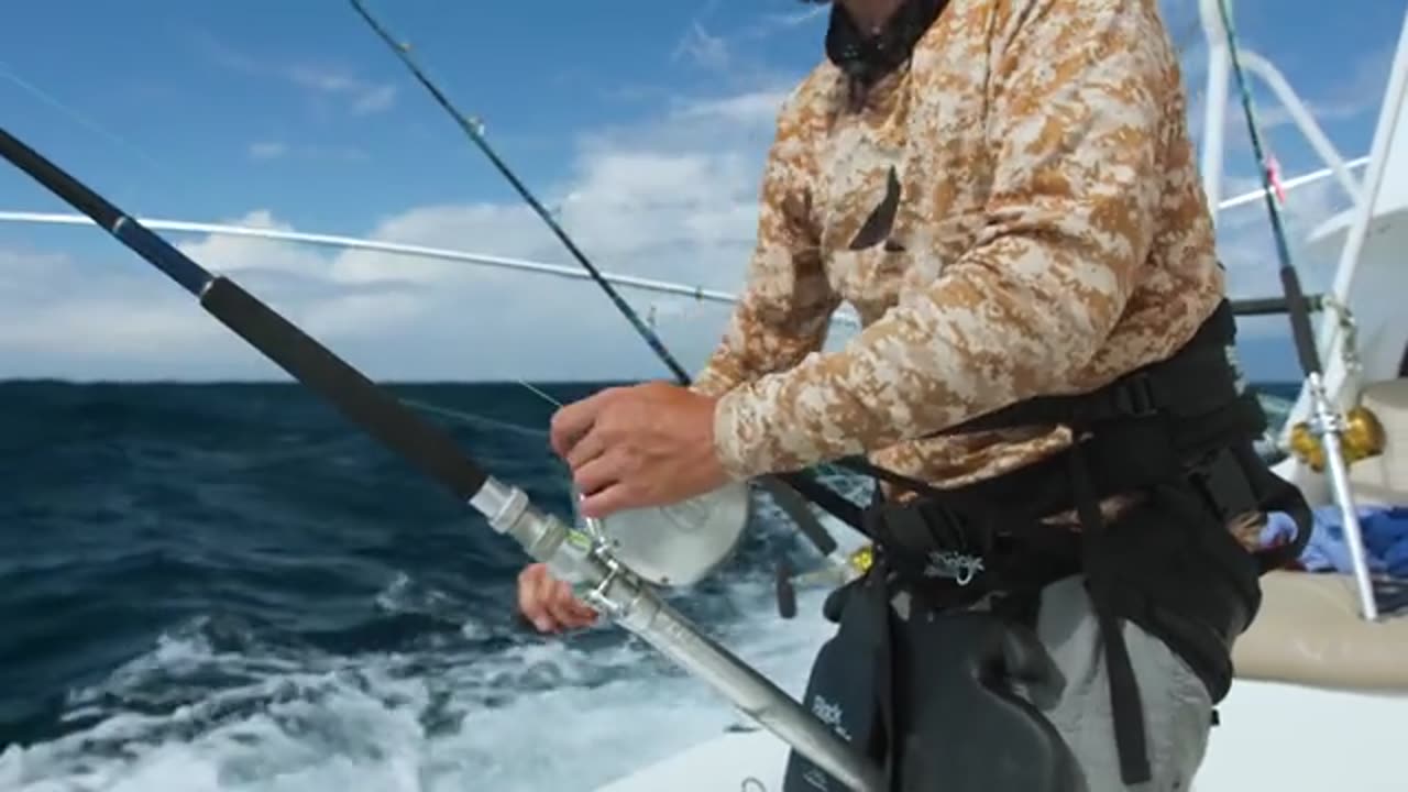 Giant Dolphin Caught using Berkley Gulp + MASSIVE Marlin_part6