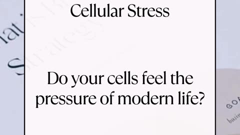 Do your cells feel the pressure of modern life?