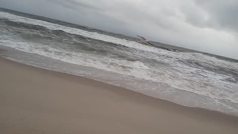 Some Other Guy Reading Public Domain Poetry #000016 John Masefield