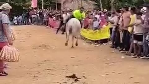 Epic Sports Fail Compilation 😂 | Funniest Game Moments Caught on Camera”