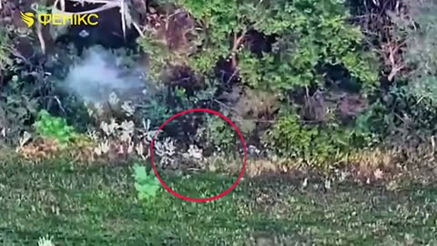 🛸💥 Ukraine Russia War | 'Phoenix' Unit Drones Strike Russian Forces in Donetsk | RCF