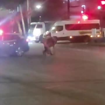 When the perp has four legs and a bad attitude!