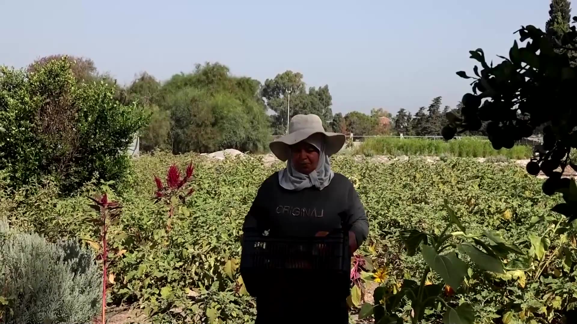 Nearly a year after truce, women in south Lebanon say war never ended