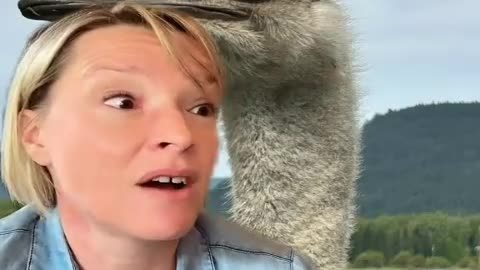 Canadian government has made the decision to end the lives of these 400 ostriches