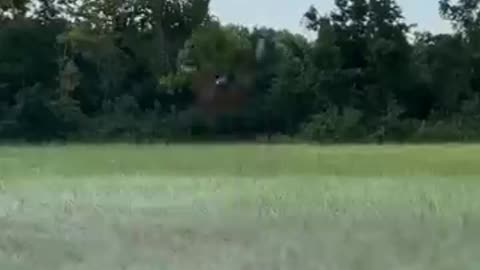 Mr Beat Vs Airplane