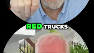 Burnt Buildings & Red Trucks: The Crazy Correlation You Missed!