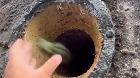 WW2 bunker grenade defense. clever