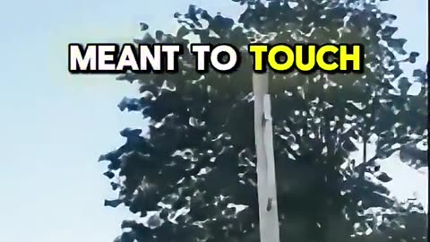 The Sky King videos. RIP Richard Russell