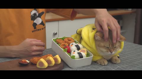 Japanese Lunch Box Fried Squid Bento イカリング弁当 [Ep1]