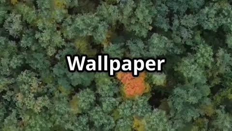 The Mysterious Forest Google Maps Won't Show You!