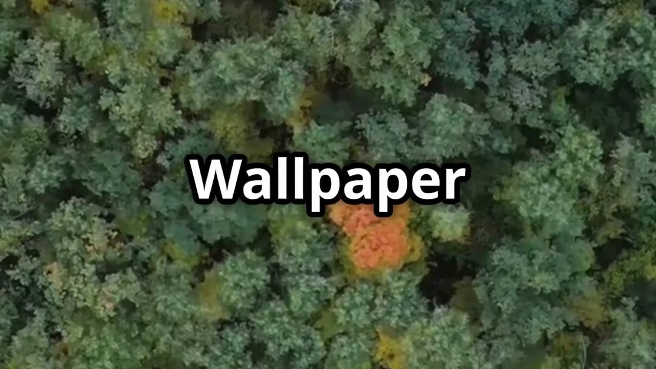 The Mysterious Forest Google Maps Won't Show You!