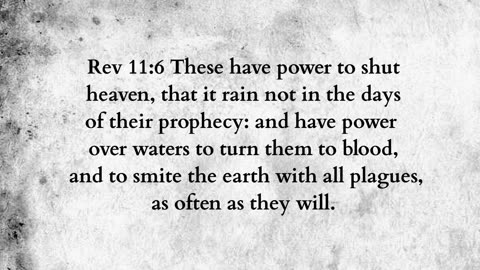 Martus Ministry -274- Gal and wine